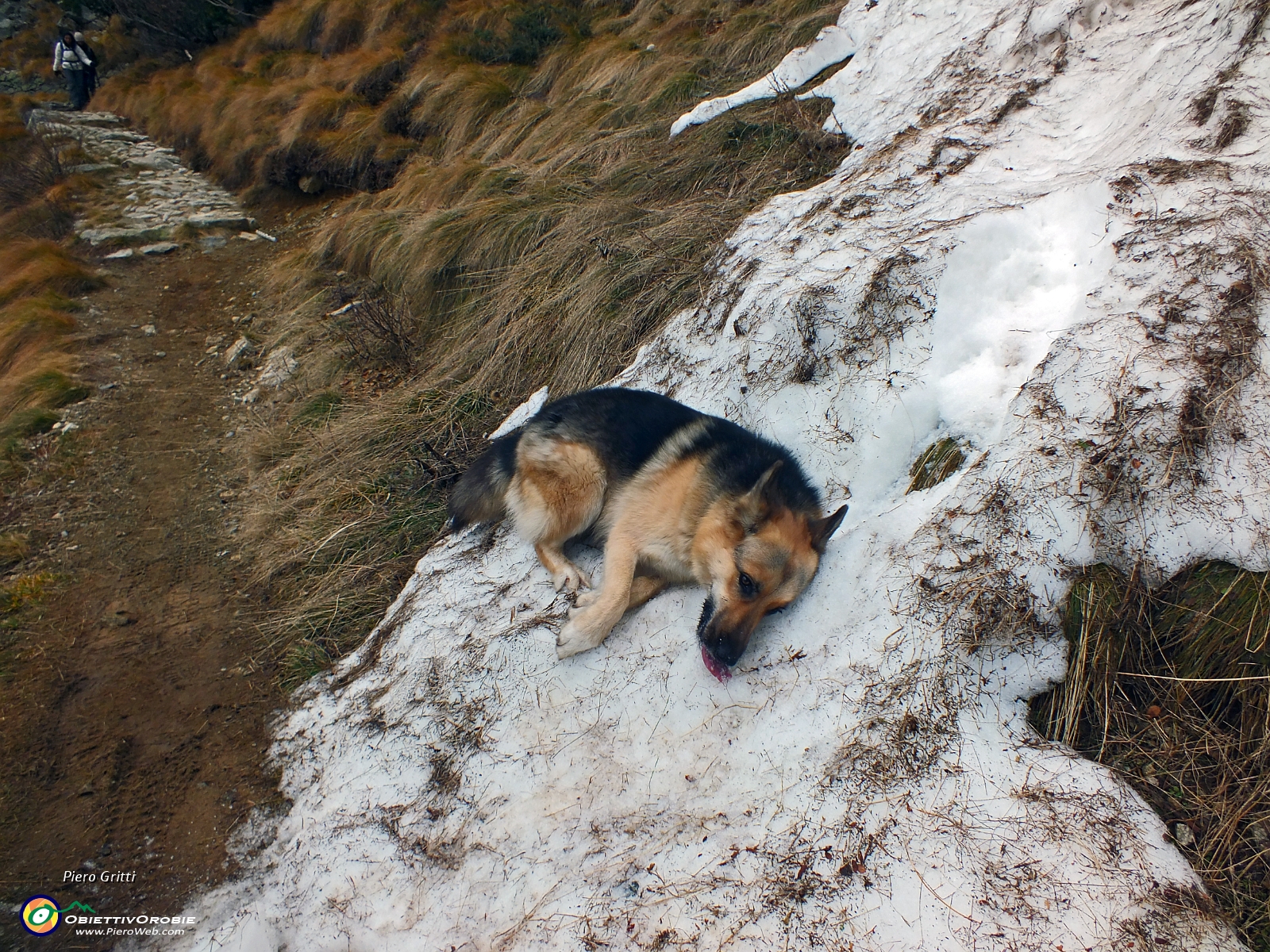 12 Buona questa neve !.JPG